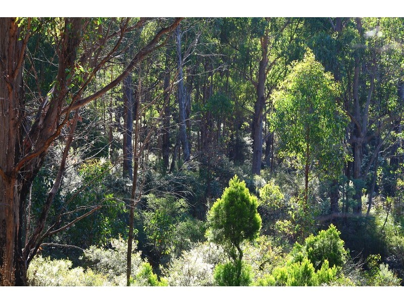 Lot 7 Whitecliffs Road, Brooks Bay TAS 7116