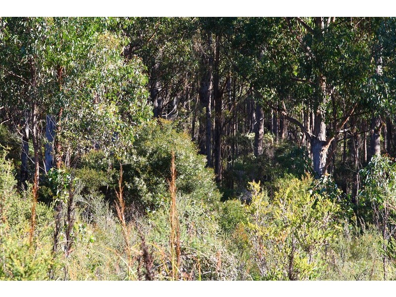 Lot 7 Whitecliffs Road, Brooks Bay TAS 7116