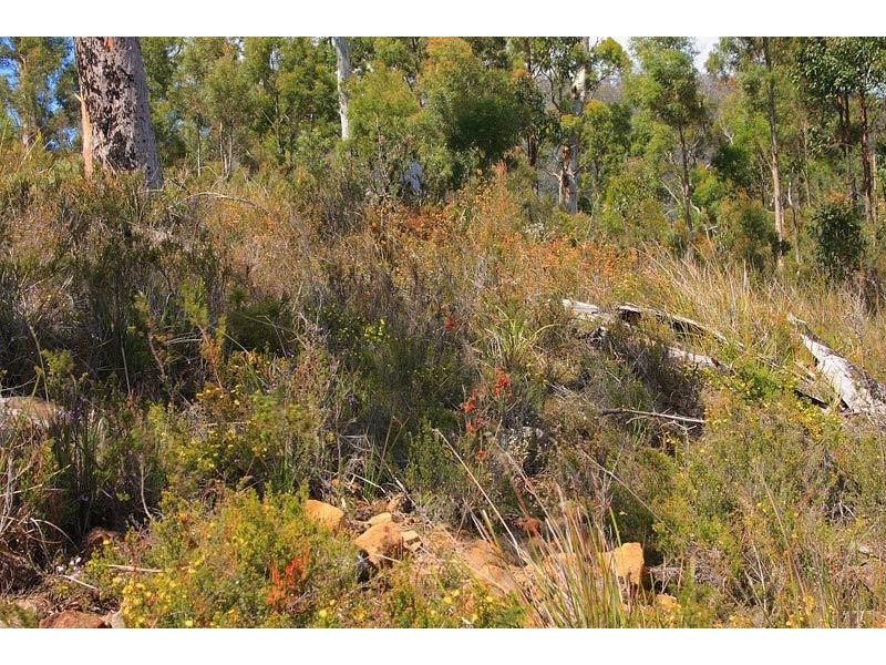 Ra Knights Road, Huonville TAS 7109