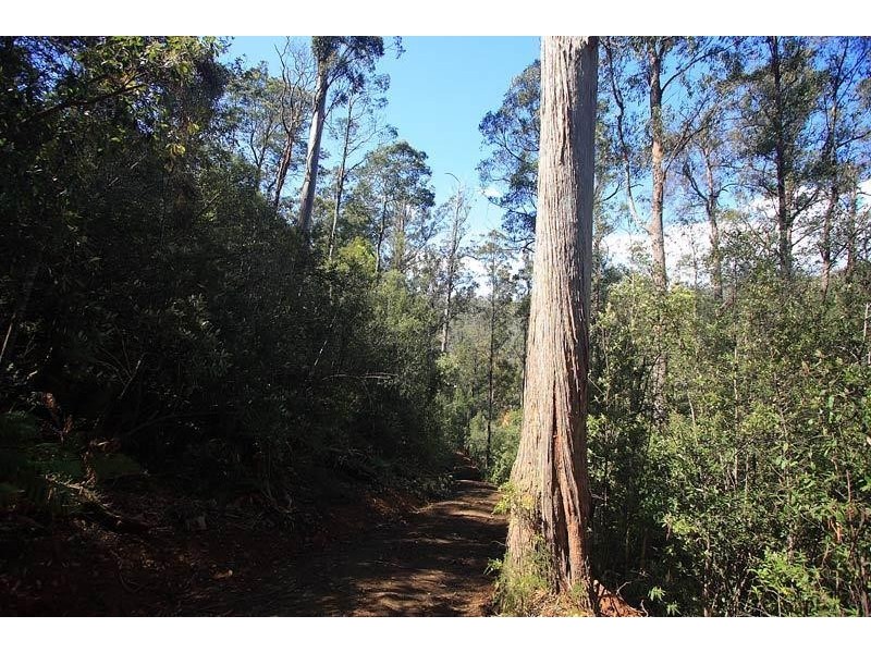 Ra Knights Road, Huonville TAS 7109