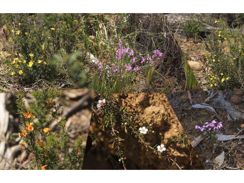 Ra Knights Road, Huonville TAS 7109