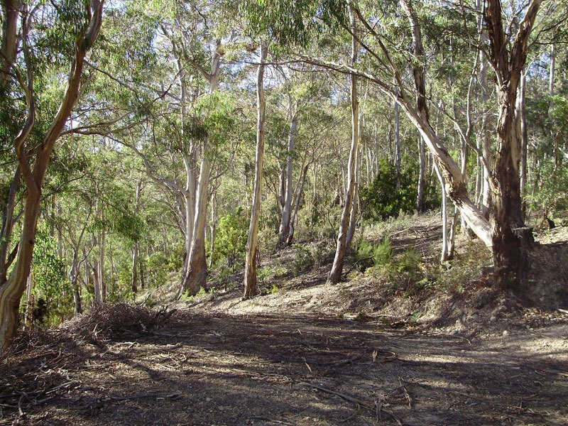 Lot 3 Tobys Hill Road, Cygnet TAS 7112