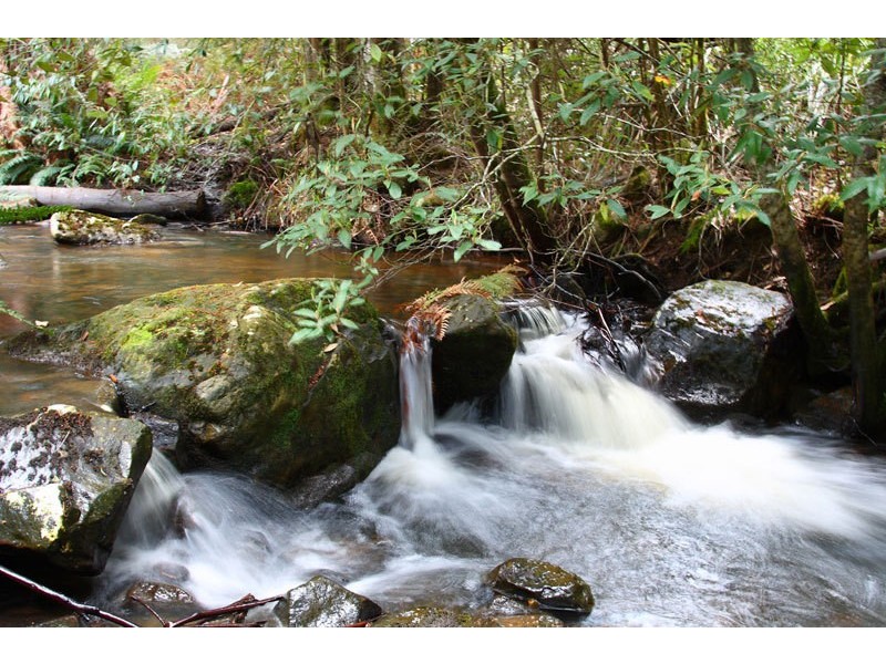 384 Bakers Creek Road, Lucaston TAS 7109