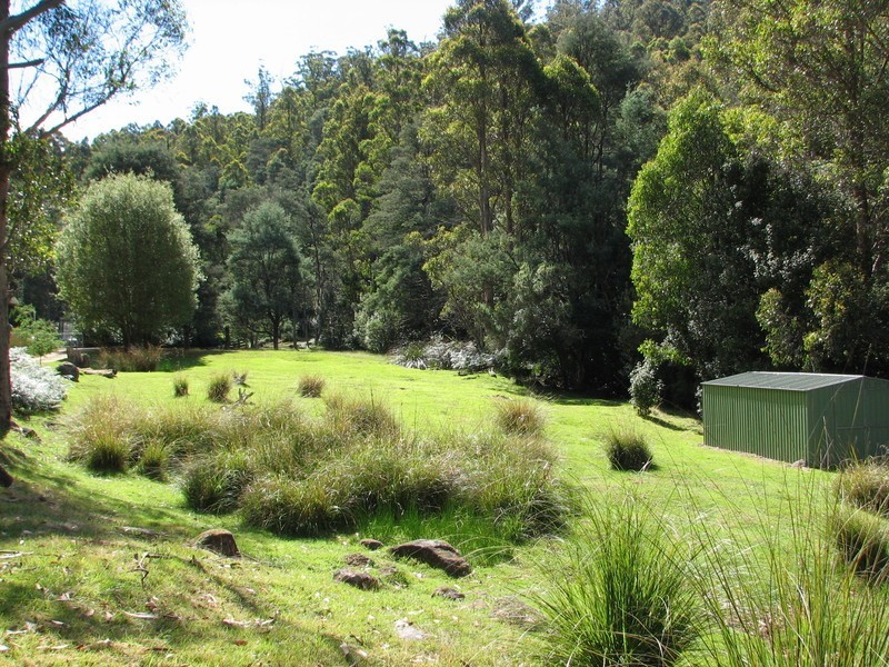 384 Bakers Creek Road, Lucaston TAS 7109