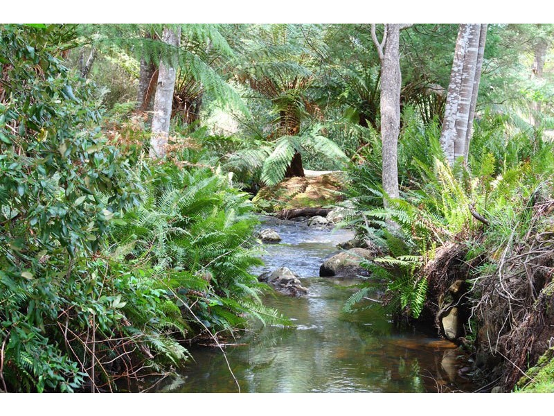 384 Bakers Creek Road, Lucaston TAS 7109