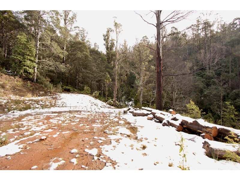Lot 4 Bakers Creek Road, Lucaston TAS 7109