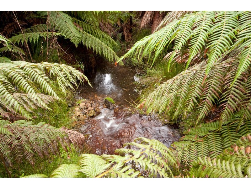 Lot 4 Bakers Creek Road, Lucaston TAS 7109