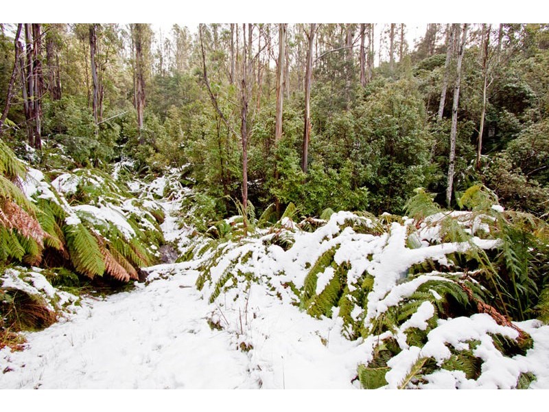 Lot 4 Bakers Creek Road, Lucaston TAS 7109