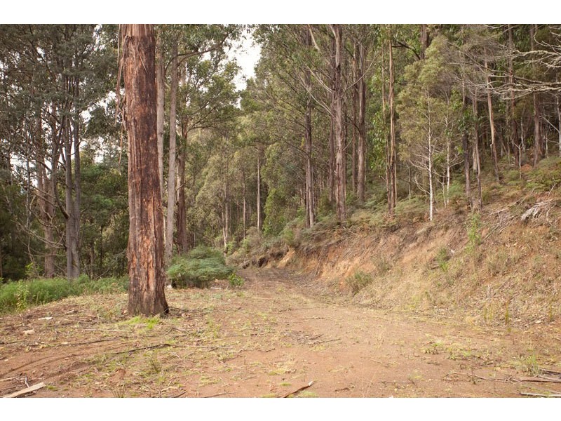 Lot 4 Bakers Creek Road, Lucaston TAS 7109