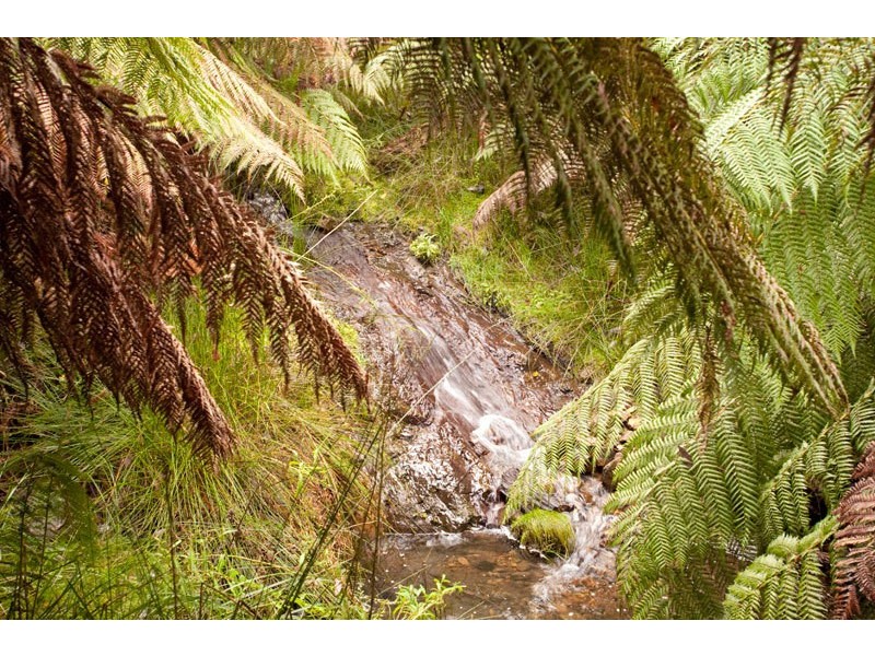 Lot 4 Bakers Creek Road, Lucaston TAS 7109