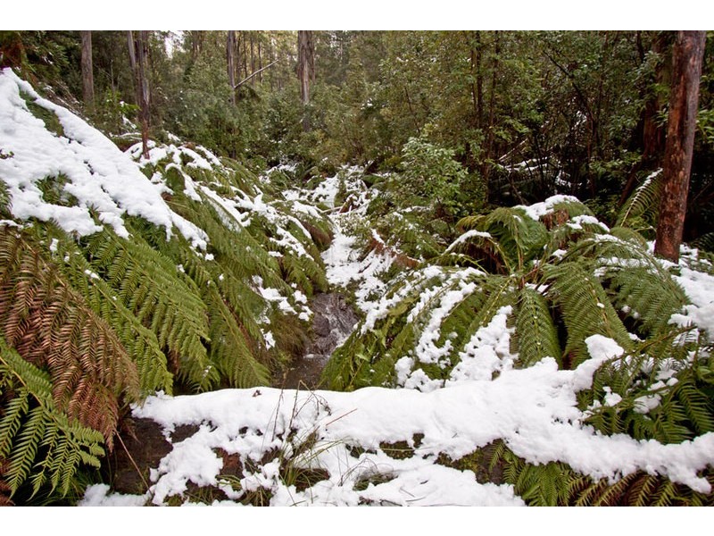 Lot 4 Bakers Creek Road, Lucaston TAS 7109