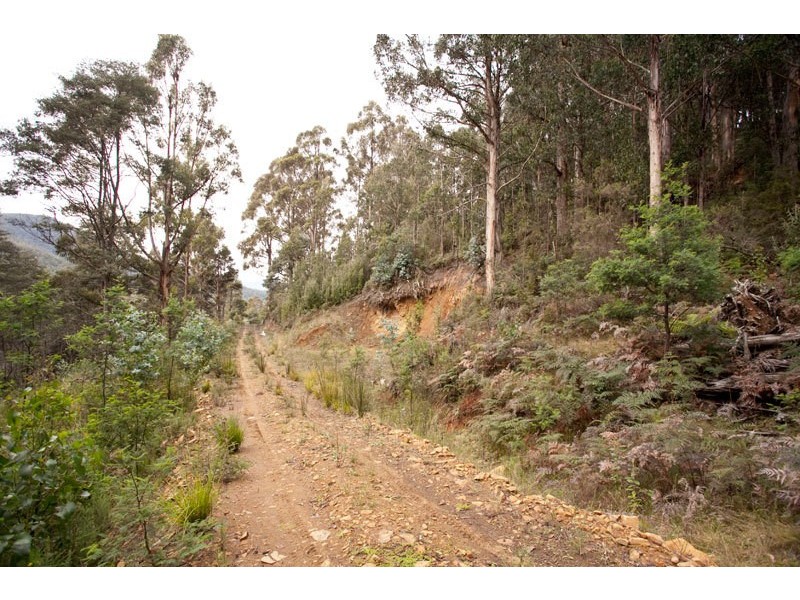 Lot 4 Bakers Creek Road, Lucaston TAS 7109