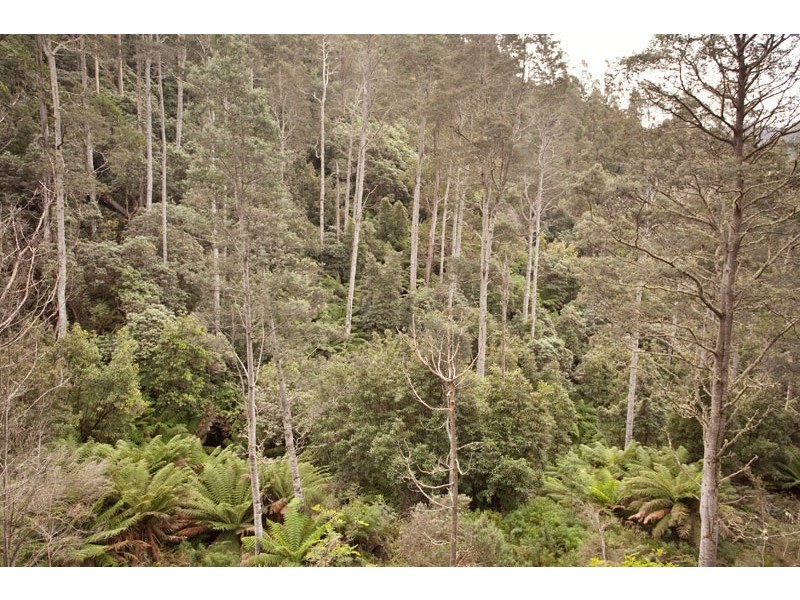 Lot 4 Bakers Creek Road, Lucaston TAS 7109