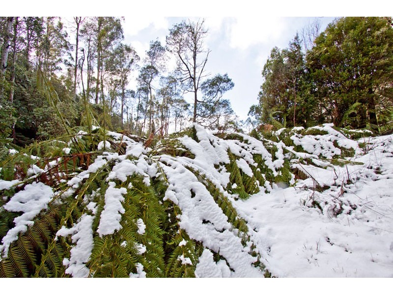 Lot 4 Bakers Creek Road, Lucaston TAS 7109