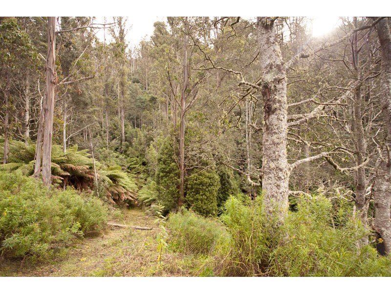 Lot 4 Bakers Creek Road, Lucaston TAS 7109