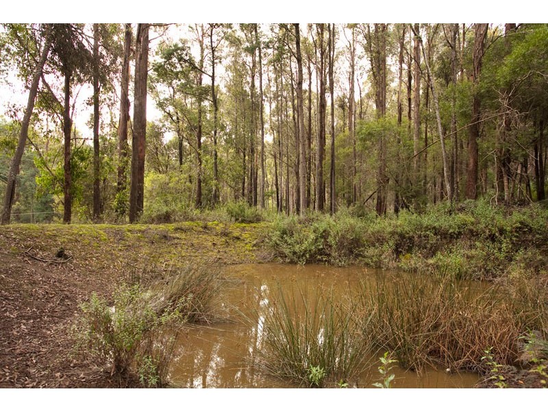 321 Brittains Road, Garden Island Creek TAS 7112