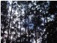 Lot 3 6900 Huon Highway, Dover TAS 7117