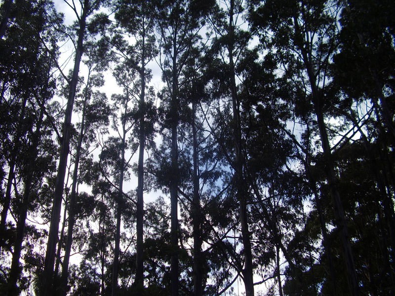 Lot 3 6900 Huon Highway, Dover TAS 7117