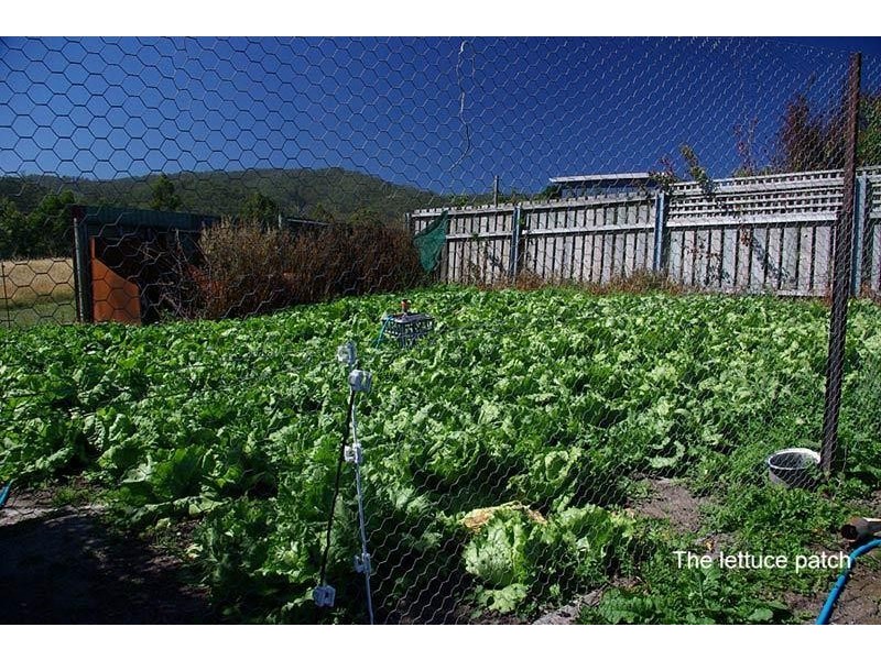 19 Norris Street, Cygnet TAS 7112