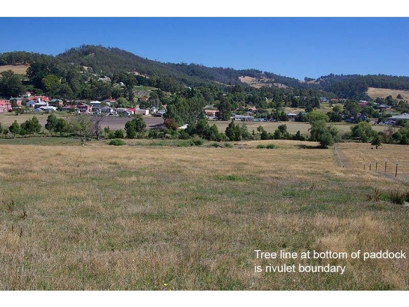 19 Norris Street, Cygnet TAS 7112