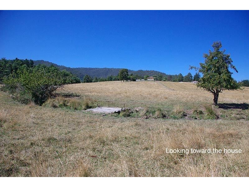 19 Norris Street, Cygnet TAS 7112