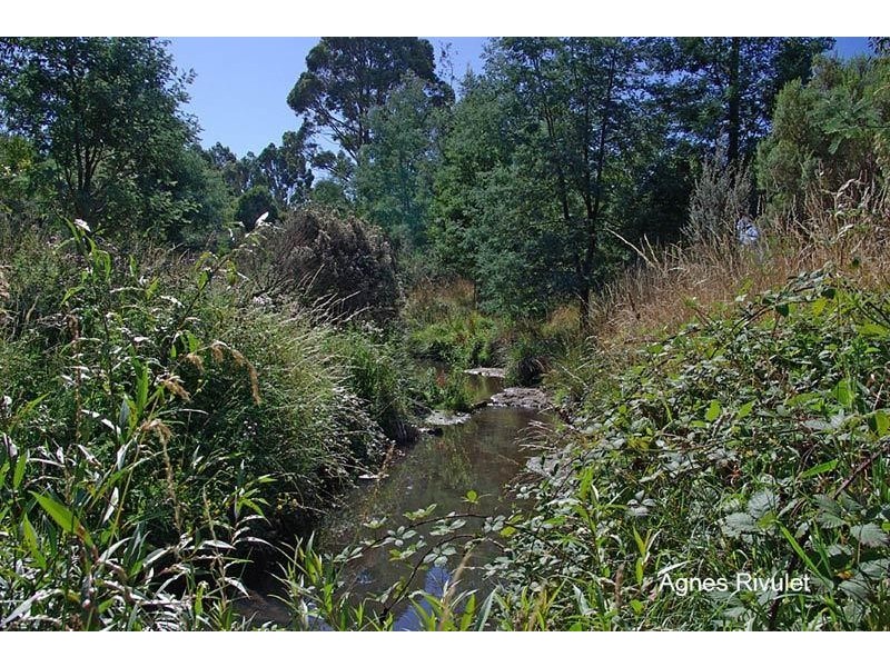 19 Norris Street, Cygnet TAS 7112