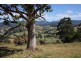 Lot 3 Fourfoot Road, Geeveston TAS 7116