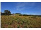RA Arve Road, Geeveston TAS 7116