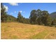Lot 1/289 Crabtree Road, Crabtree TAS 7109