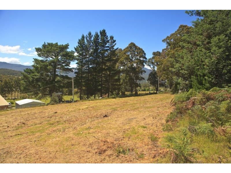 Lot 1/289 Crabtree Road, Crabtree TAS 7109
