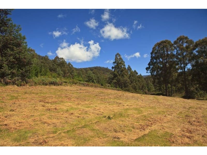 Lot 1/289 Crabtree Road, Crabtree TAS 7109