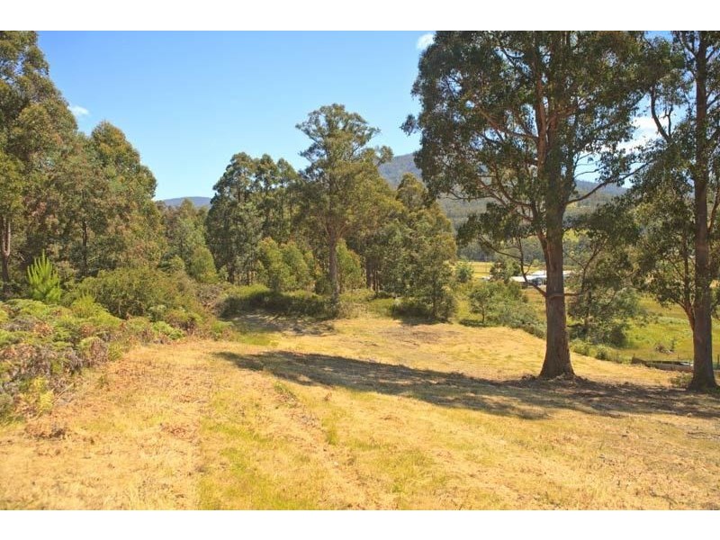 Lot 1/289 Crabtree Road, Crabtree TAS 7109