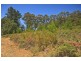 Lot 1/289 Crabtree Road, Crabtree TAS 7109