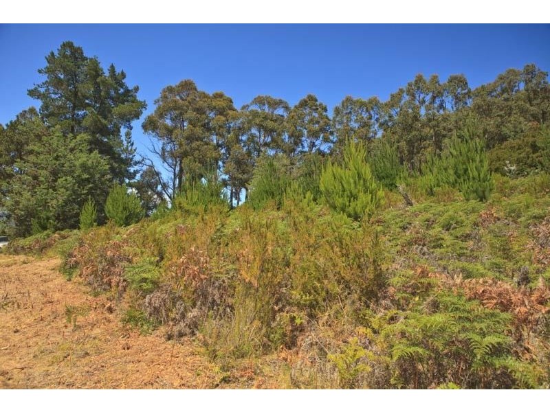 Lot 1/289 Crabtree Road, Crabtree TAS 7109