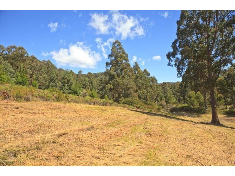 Lot 1/289 Crabtree Road, Crabtree TAS 7109