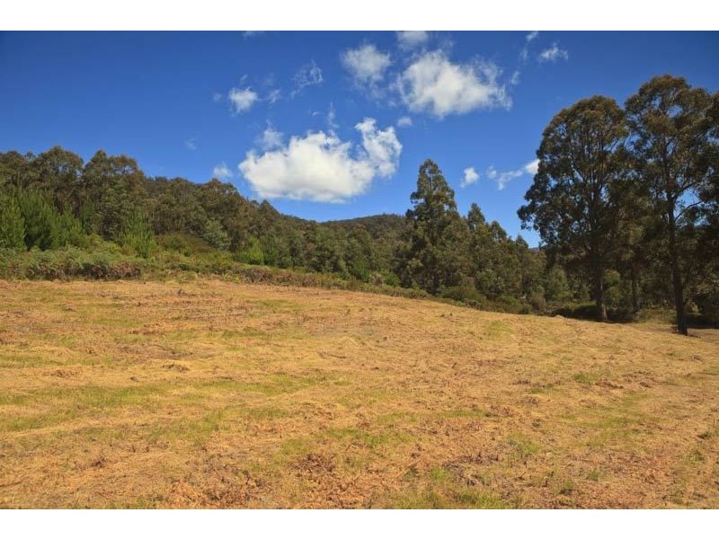 Lot 1/289 Crabtree Road, Crabtree TAS 7109