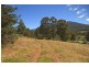 Lot 1/289 Crabtree Road, Crabtree TAS 7109
