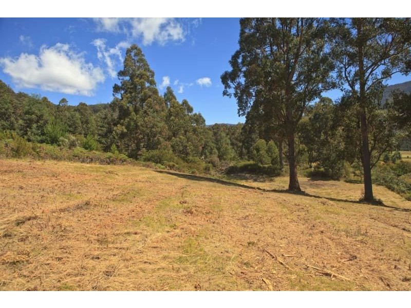 Lot 1/289 Crabtree Road, Crabtree TAS 7109