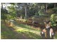 16 Arve Road, Geeveston TAS 7116