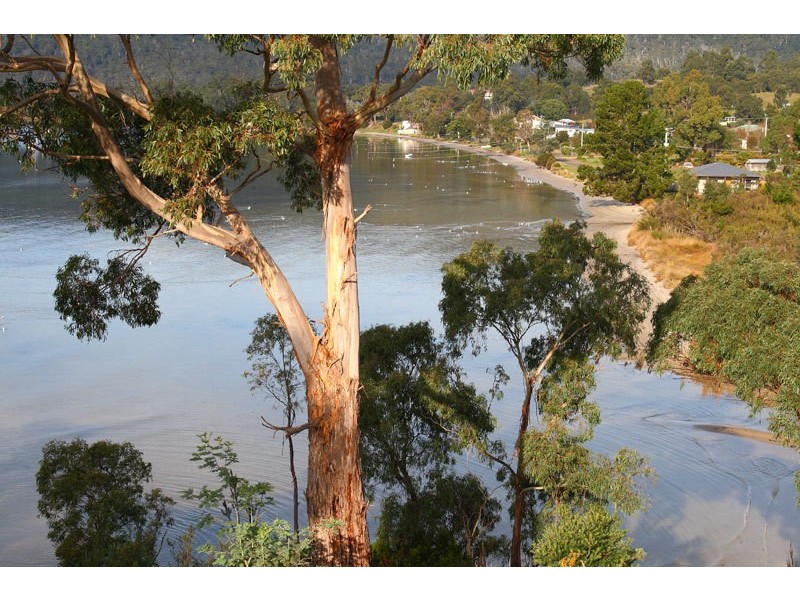 23  Harvey Town Road, Dover TAS 7117