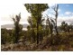 458 Esperance Coast  Road, Brooks Bay TAS 7116