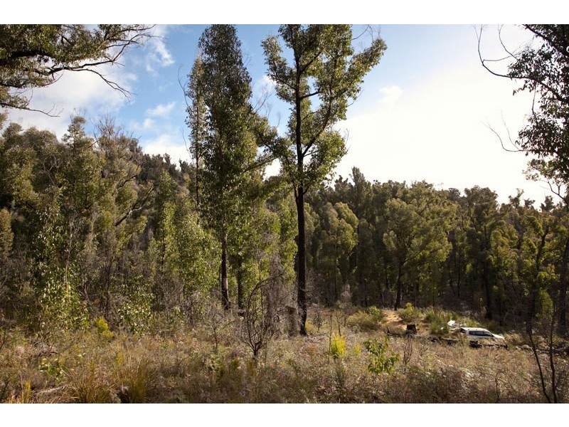 458 Esperance Coast  Road, Brooks Bay TAS 7116