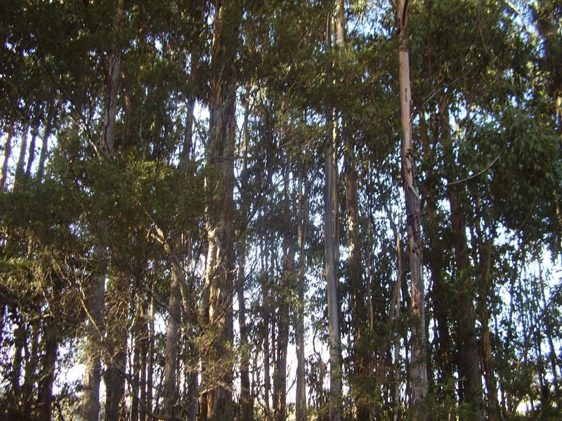 19 Jager Road, Southport TAS 7109