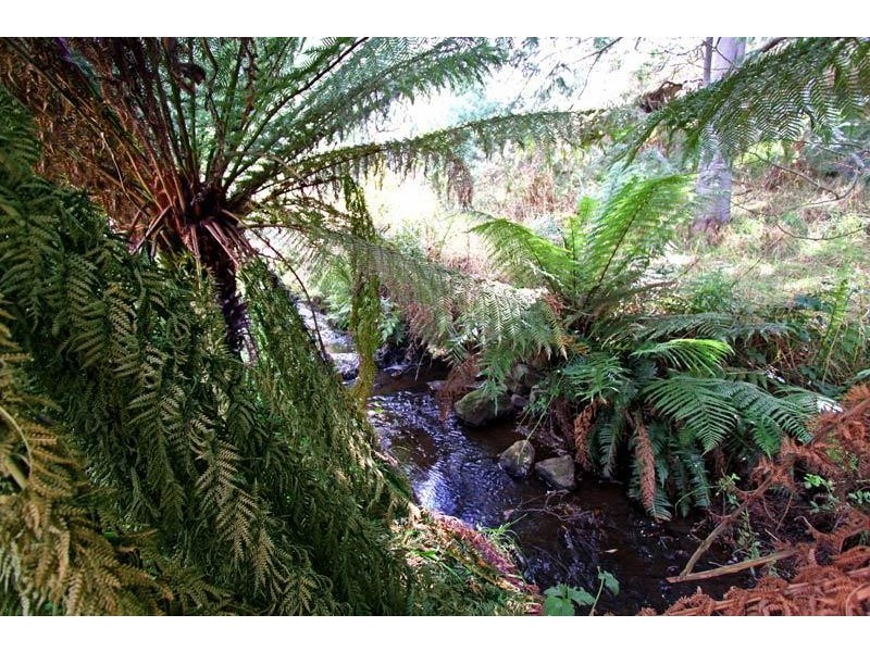 238 Fourfoot Road, Geeveston TAS 7116