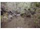 1557  Pelverata Road, Pelverata TAS 7150