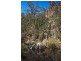 1557  Pelverata Road, Pelverata TAS 7150
