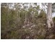 1557  Pelverata Road, Pelverata TAS 7150
