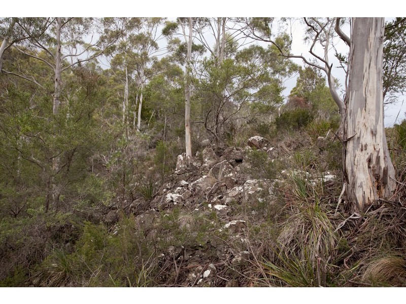 1557  Pelverata Road, Pelverata TAS 7150