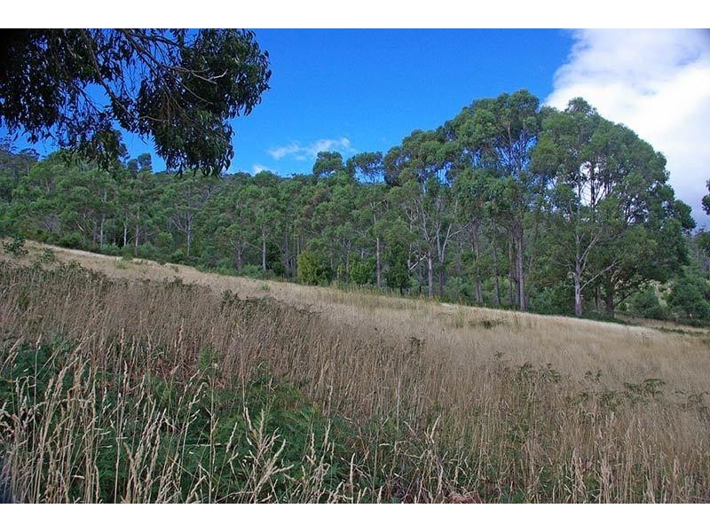 7214 Channel Highway, Nicholls Rivulet TAS 7112