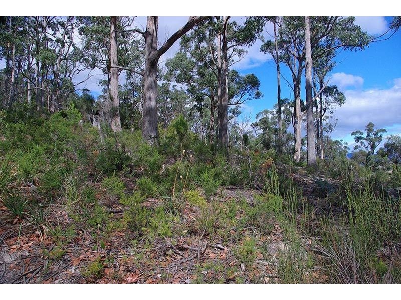 7214 Channel Highway, Nicholls Rivulet TAS 7112